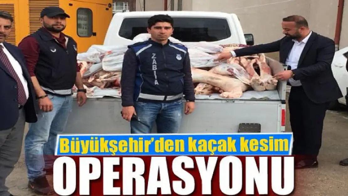 Büyükşehir Belediyesi'nden kaçak kesim operasyonu