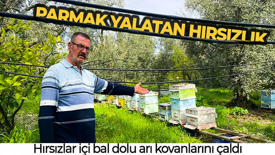 Parmak yalatan hırsızlık