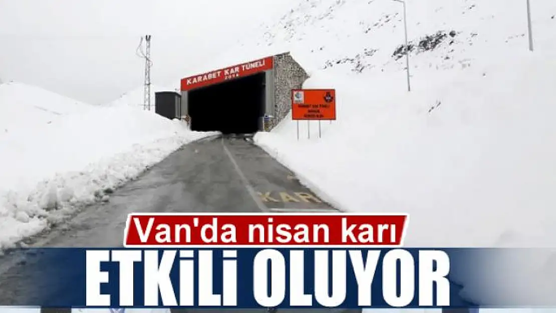 Van'da nisan karı etkili oluyor