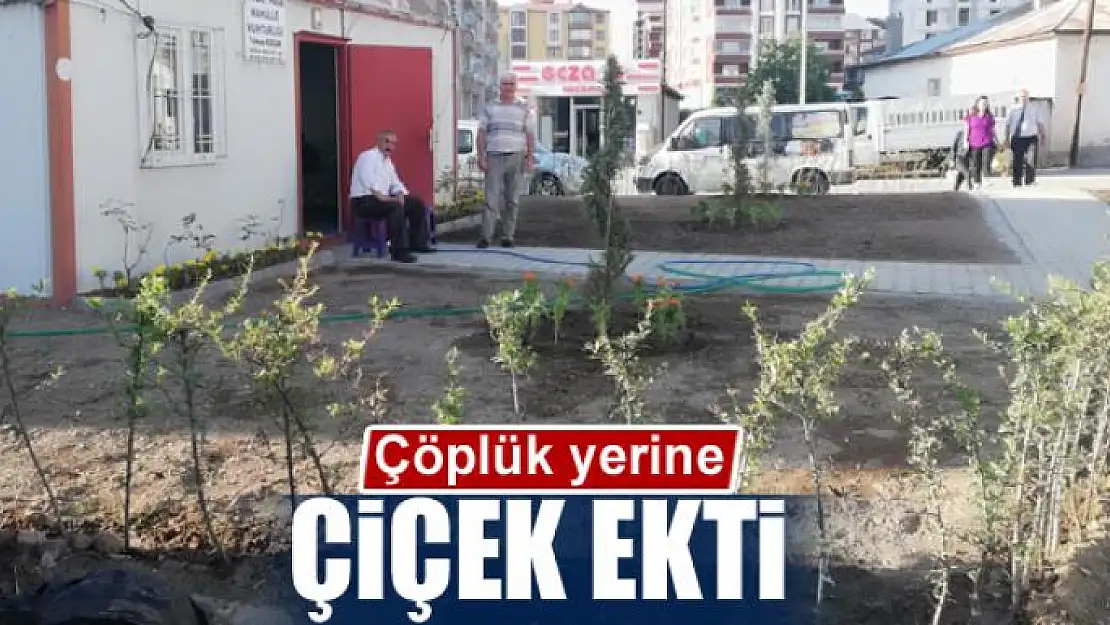 Çöplük yerine çiçek ekti 