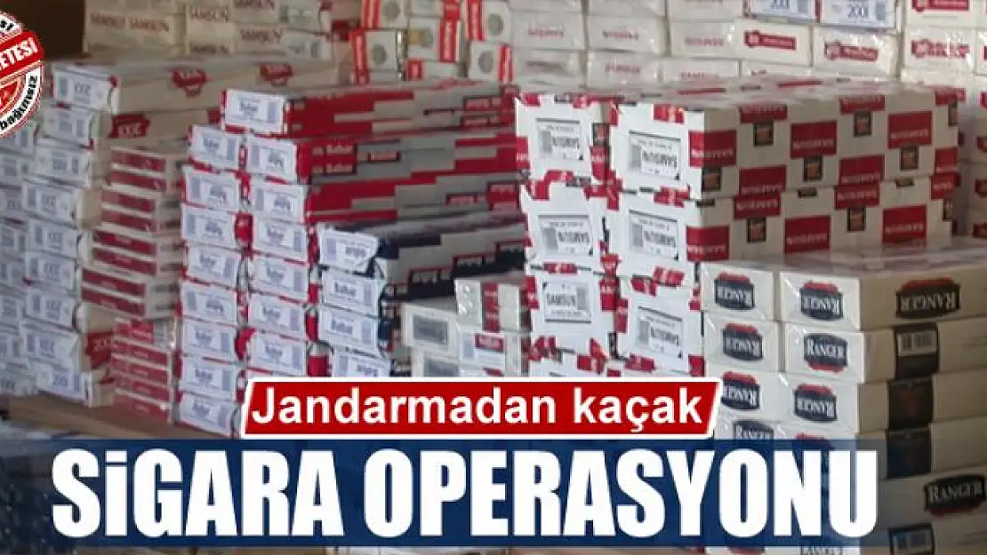 Jandarmadan kaçak sigara operasyonu 