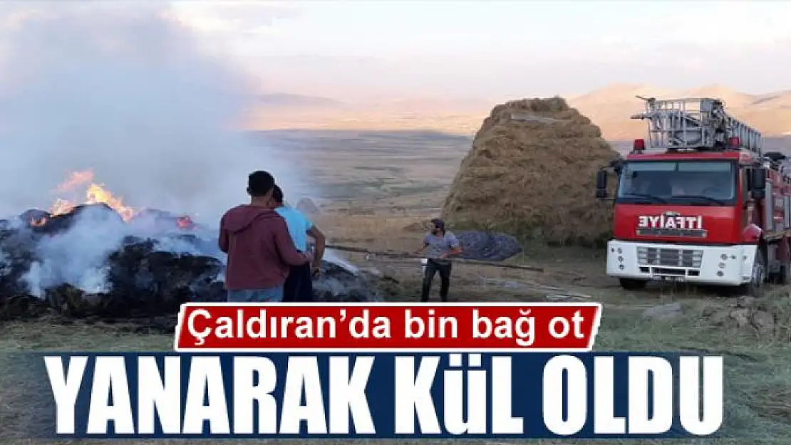 Çaldıran'da bin bağ ot yanarak kül oldu