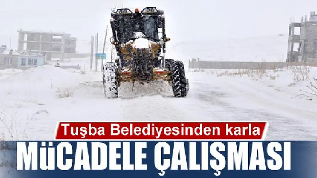 Tuşba Belediyesinden karla mücadele çalışması