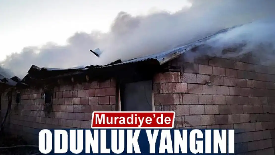 Muradiye'de odunluk yangını