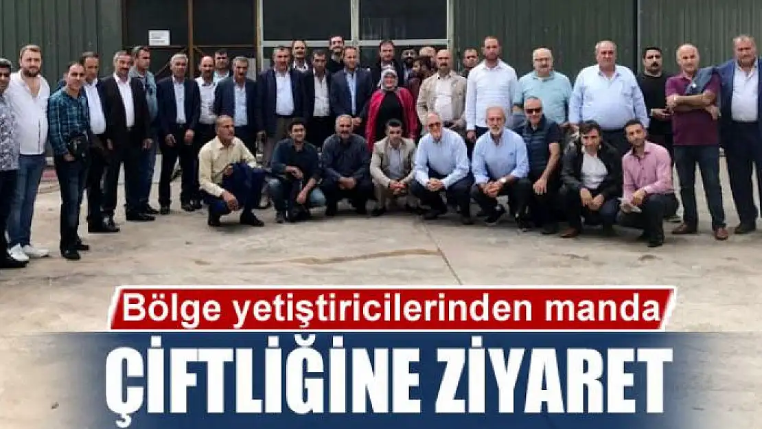 Bölge yetiştiricilerinden manda çiftliğine ziyaret