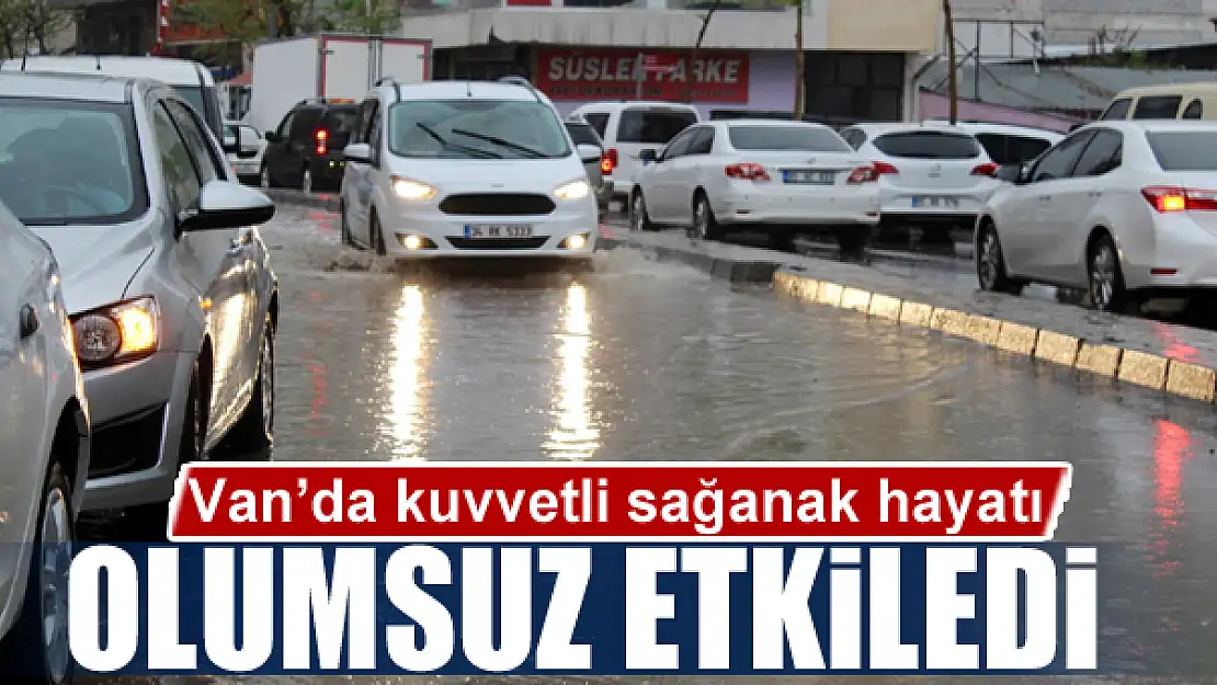 Van'da kuvvetli sağanak hayatı olumsuz etkiledi