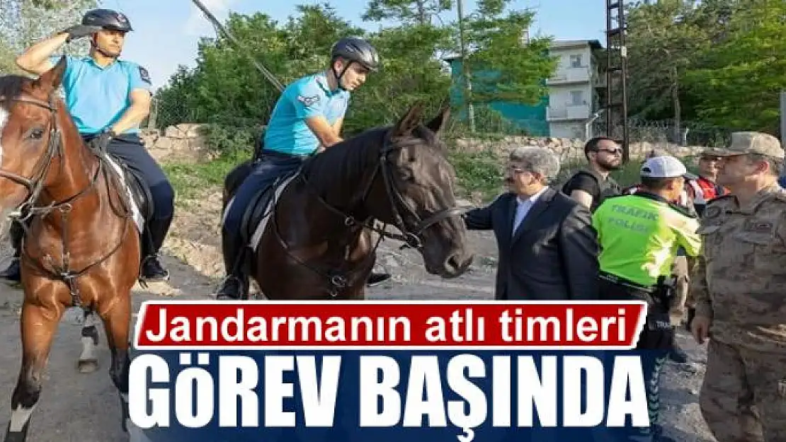 Jandarmanın atlı timleri görev başında