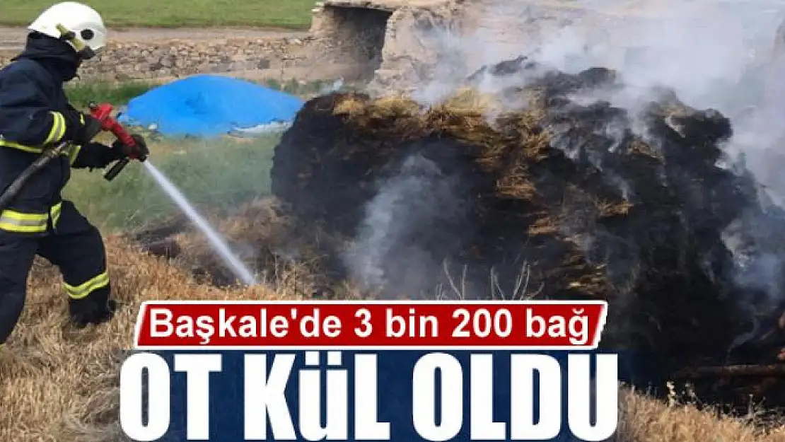 Başkale'de 3 bin 200 bağ ot kül oldu