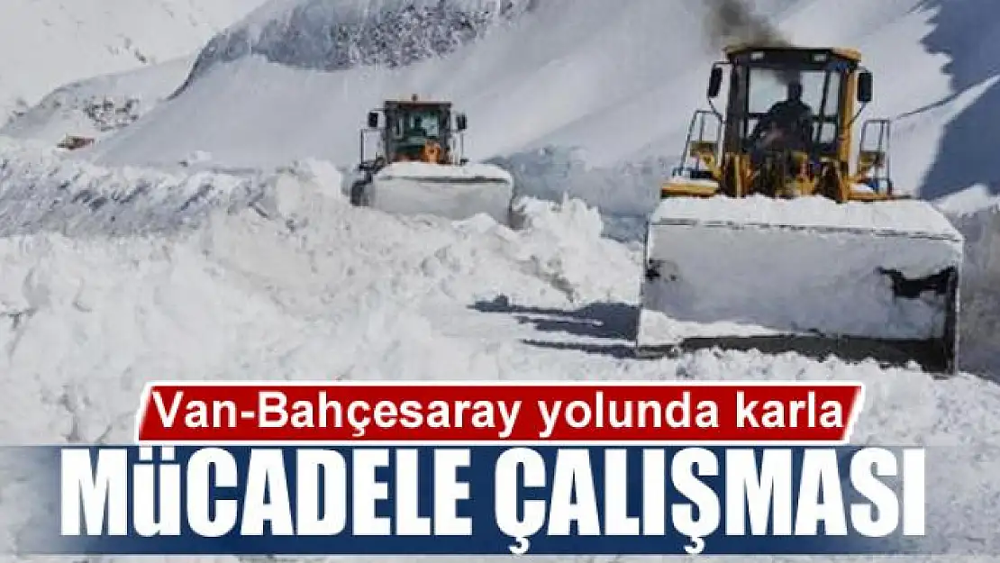 Van-Bahçesaray yolunda karla mücadele çalışması 