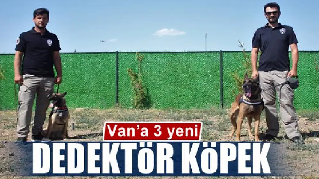 Van'a 3 yeni dedektör köpek