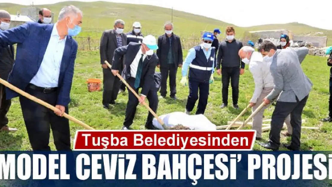 Tuşba Belediyesinden 'Model Ceviz Bahçesi' projesi