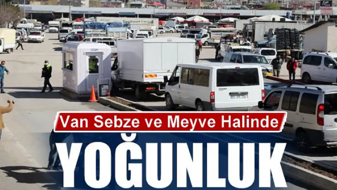 Van Sebze ve Meyve Halinde yoğunluk