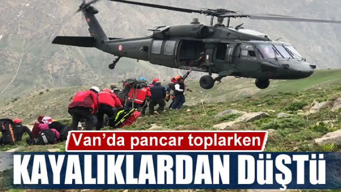 Pancar toplarken kayalıklardan düştü 