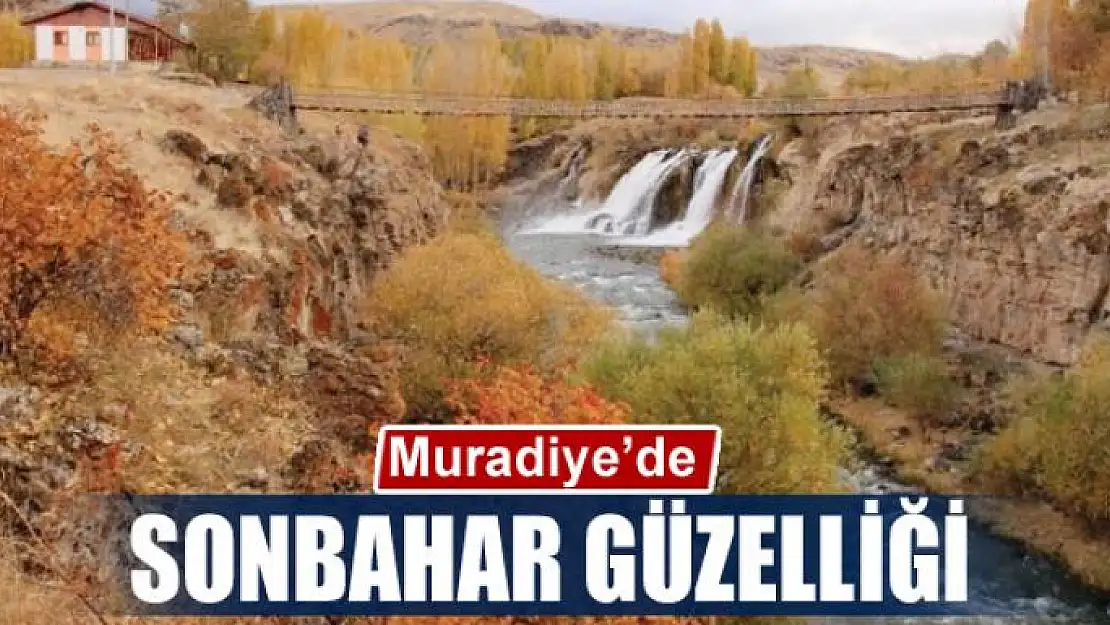 Muradiye'de sonbahar güzelliği 