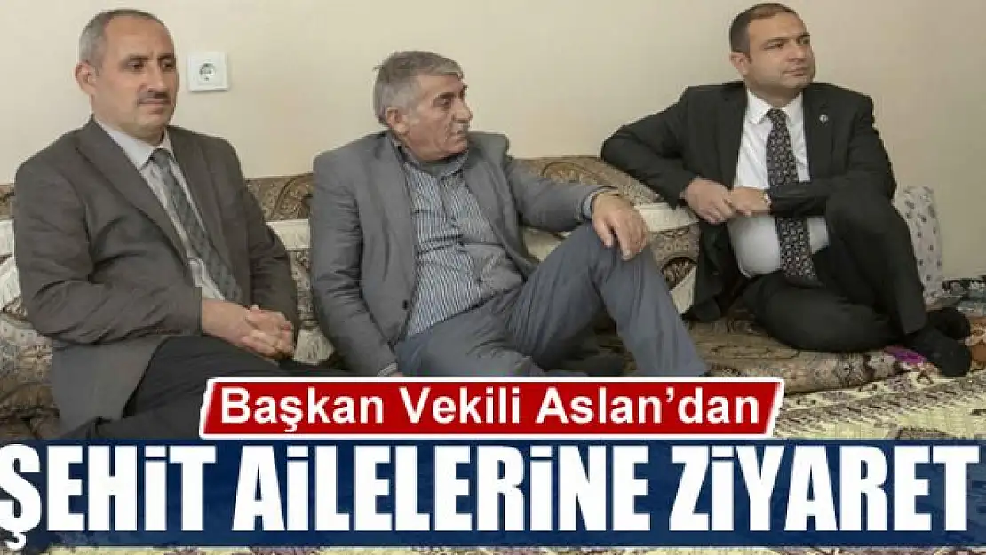 Başkan Vekili Aslan'dan şehit ailelerine ziyaret