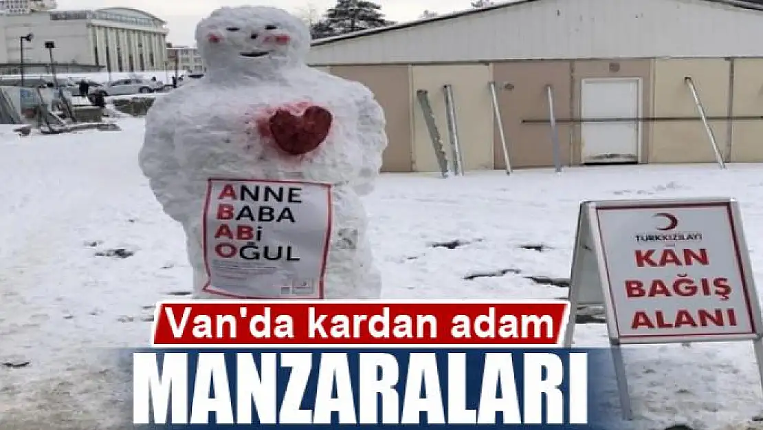 Van'da kardan adam manzaraları