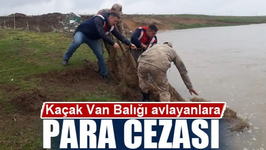 Kaçak Van Balığı avlayanlara para cezası