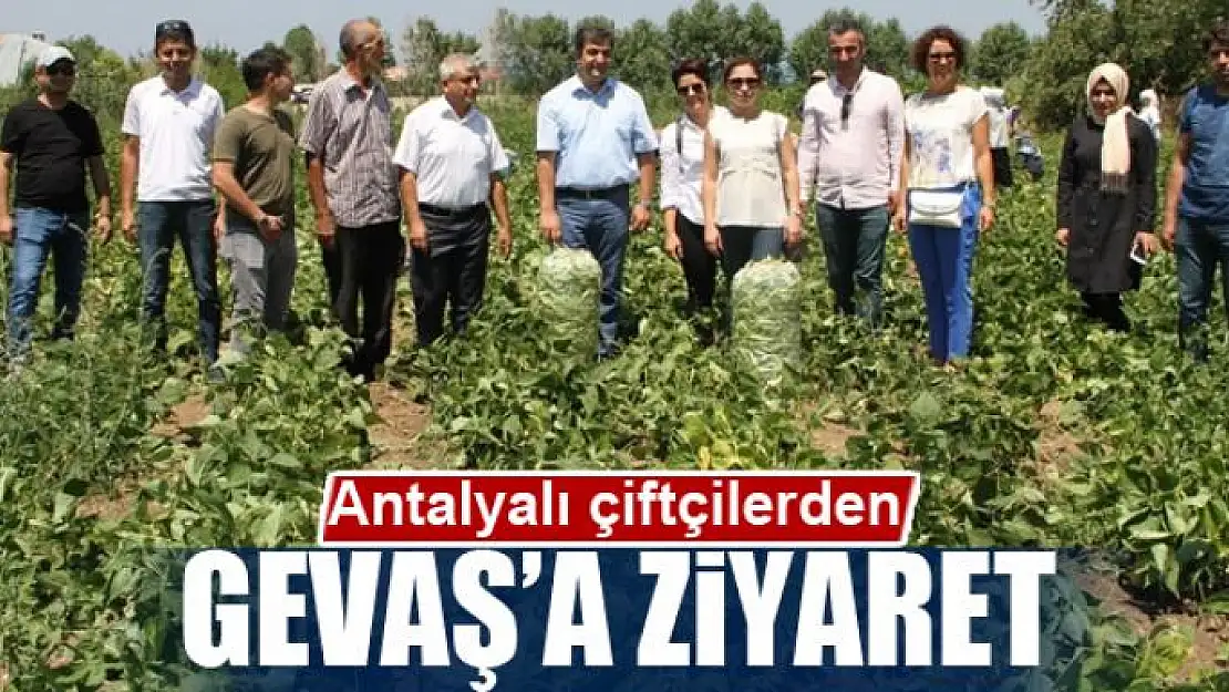 Antalyalı çiftçilerden Gevaş'a ziyaret