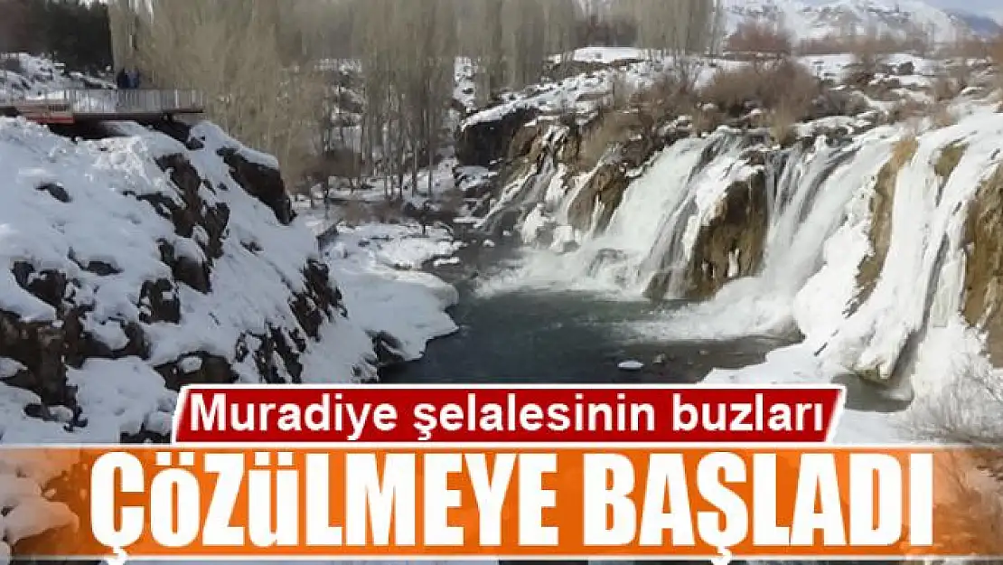 Muradiye şelalesinin buzları çözülmeye başladı