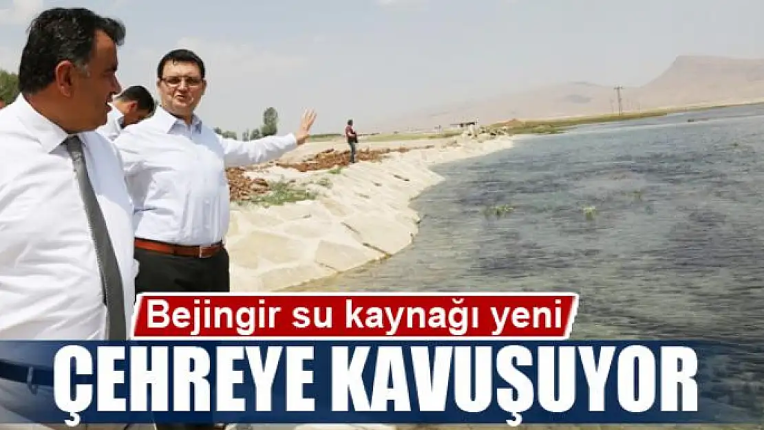 Bejingir yeni çehreye kavuşuyor