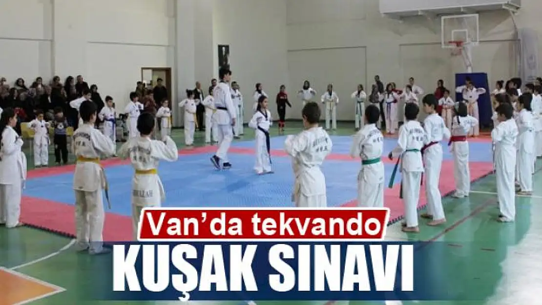 Van'da tekvando kuşak sınavı