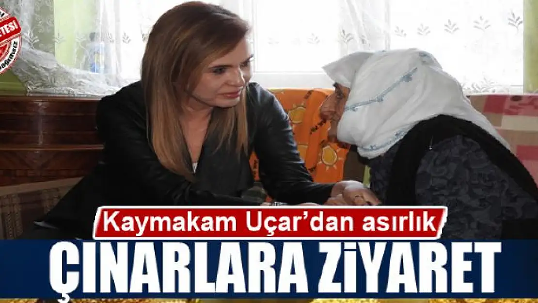 Kaymakam Uçar'dan asırlık çınarlara ziyaret 