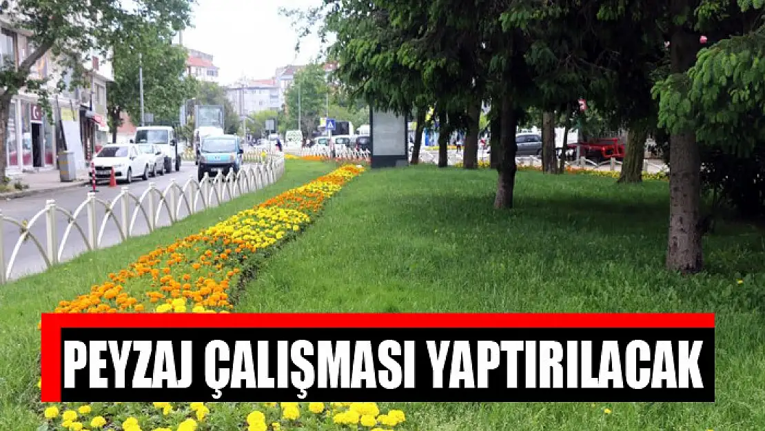 Peyzaj çalışması yaptırılacak