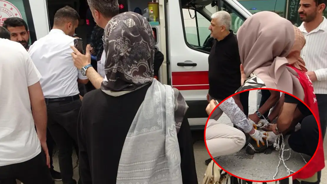 Pitbull dehşeti! Alışveriş merkezinde bir kadına saldırdı