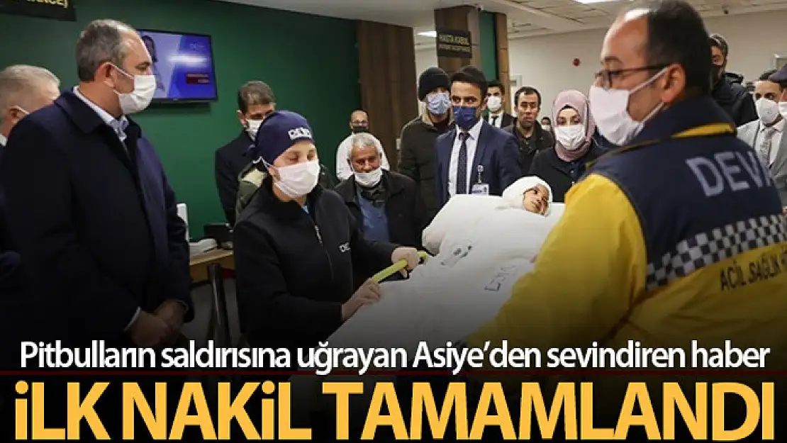 Pitbull saldırısında yaralanan Asiye'nin ilk doku nakli ameliyatı tamamlandı