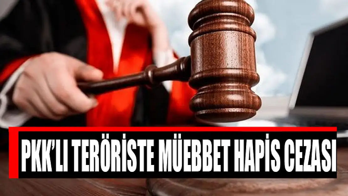 PKK'lı teröriste müebbet hapis cezası