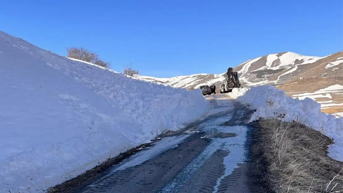 Posof'a çığ düştü, köy yolu ulaşıma kapandı