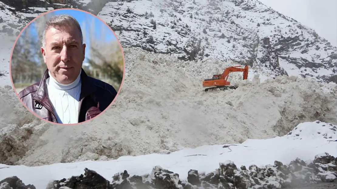 Prof. Dr. Alaeddinoğlu: Van'daki çığların temel nedeni sulu kar