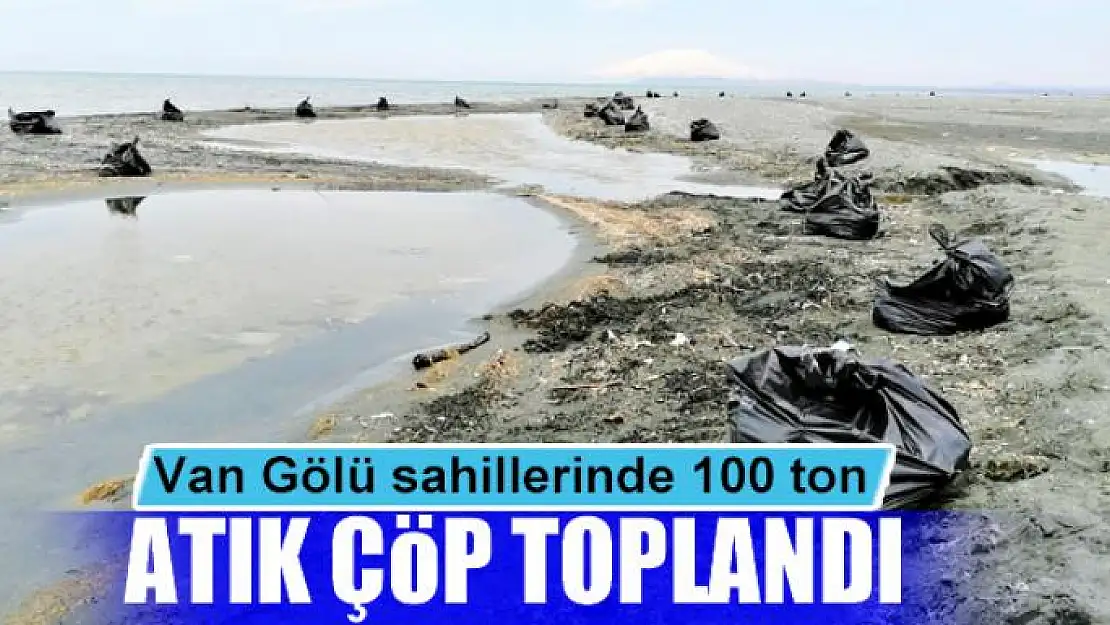 Van Gölü sahillerinde 100 ton atık çöp toplandı