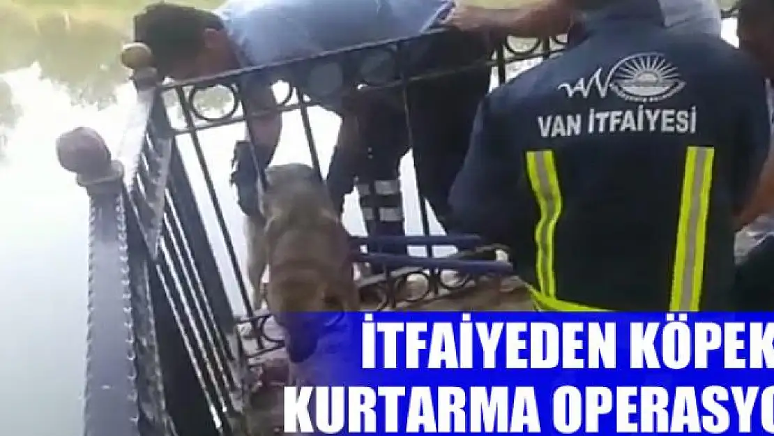 İtfaiyeden köpek kurtarma operasyonu