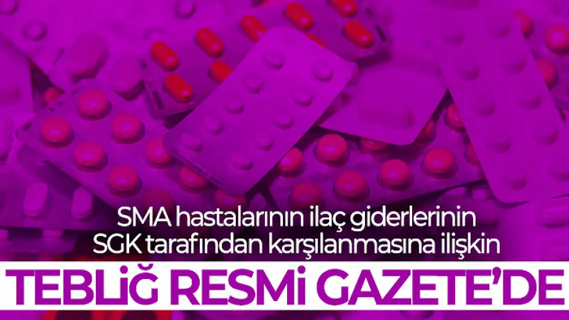 Resmi Gazete'nin mükerrer sayısı yayımlandı