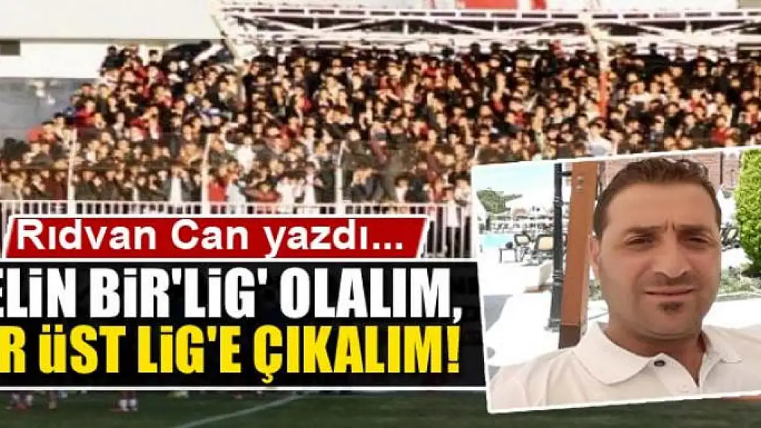 Gelin Bir'lig' Olalım, Bir Üst Lig'e Çıkalım!