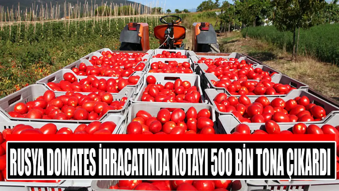 Rusya domates ihracatında kotayı 500 bin tona çıkardı