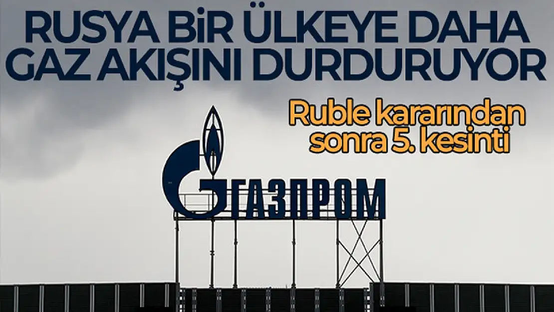 Rusya, Hollanda'nın ardından Danimarka'ya da doğal gaz akışını kesiyor