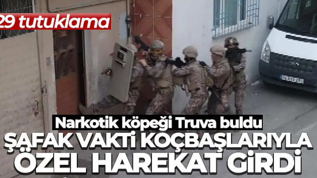 Şafak vakti koçbaşlarıyla özel harekat girdi: 29 tutuklama