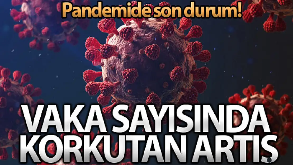 Sağlık Bakanlığı, Türkiye'nin son 24 saatlik korona virüs tablosunu açıkladı