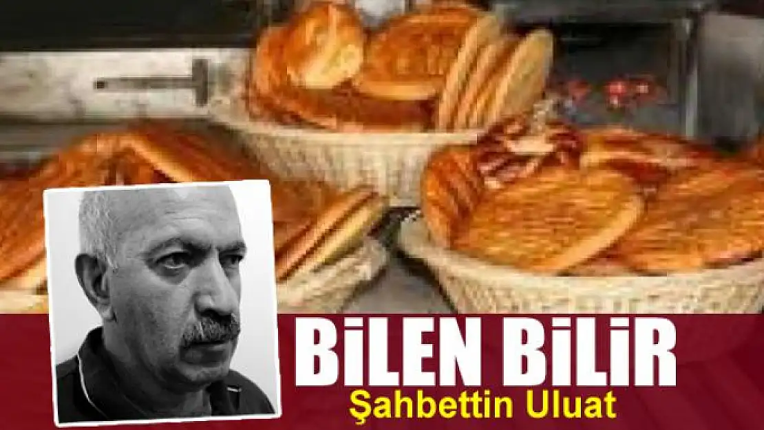 Bilen Bilir