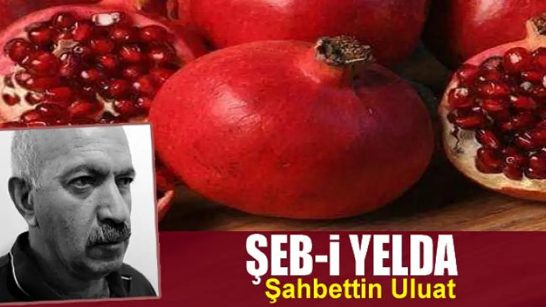 Şeb-i Yelda