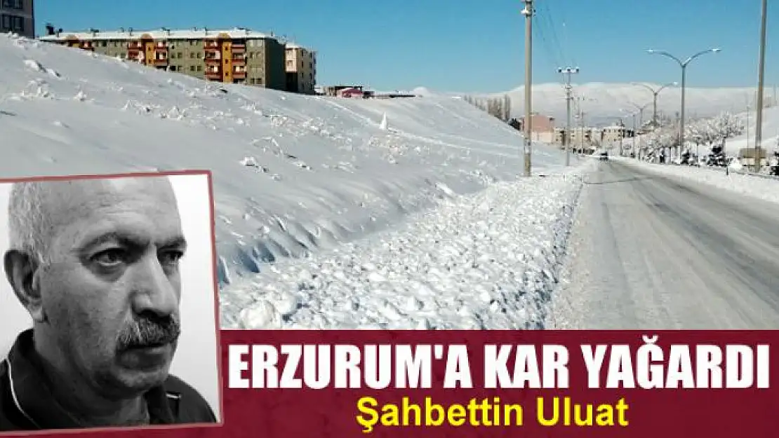 Erzurum'a  Kar Yağardı