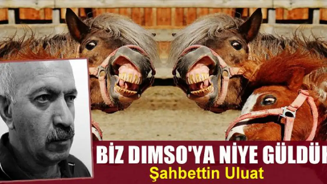 Biz Dımso'ya niye güldük?