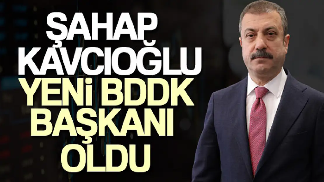 Şahap Kavcıoğlu yeni BDDK Başkanı oldu