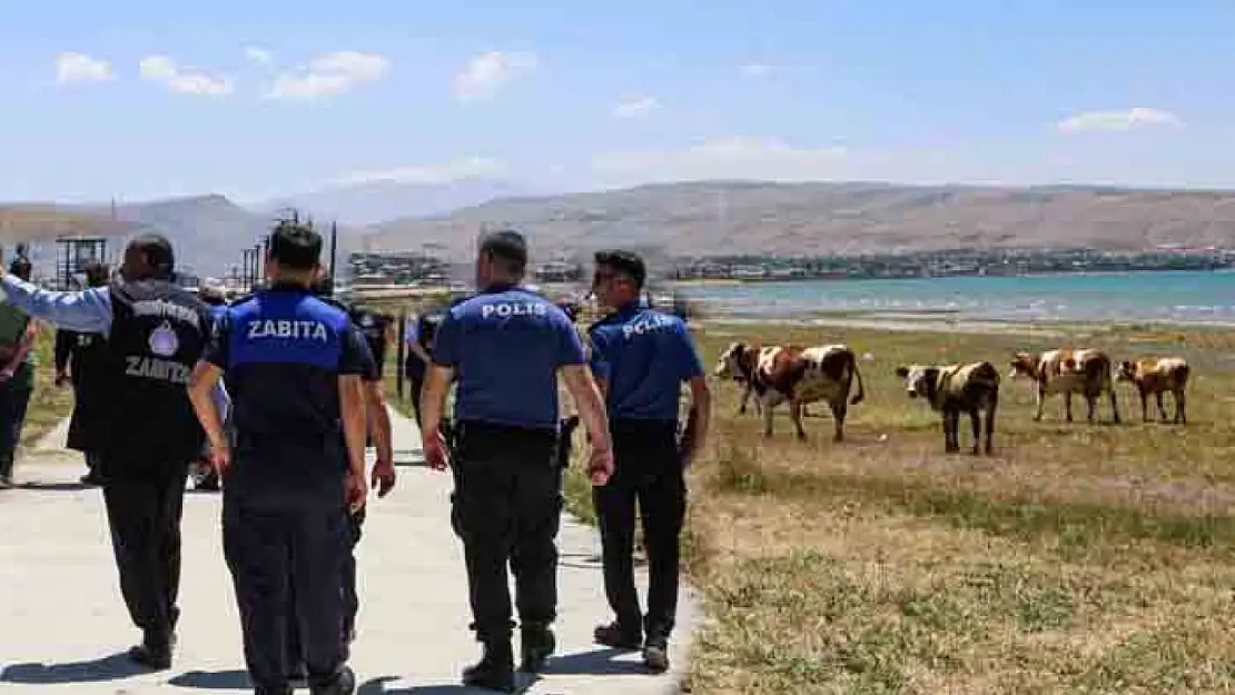 Sahil yolunda hayvan besiciliği yapanlara müdahale