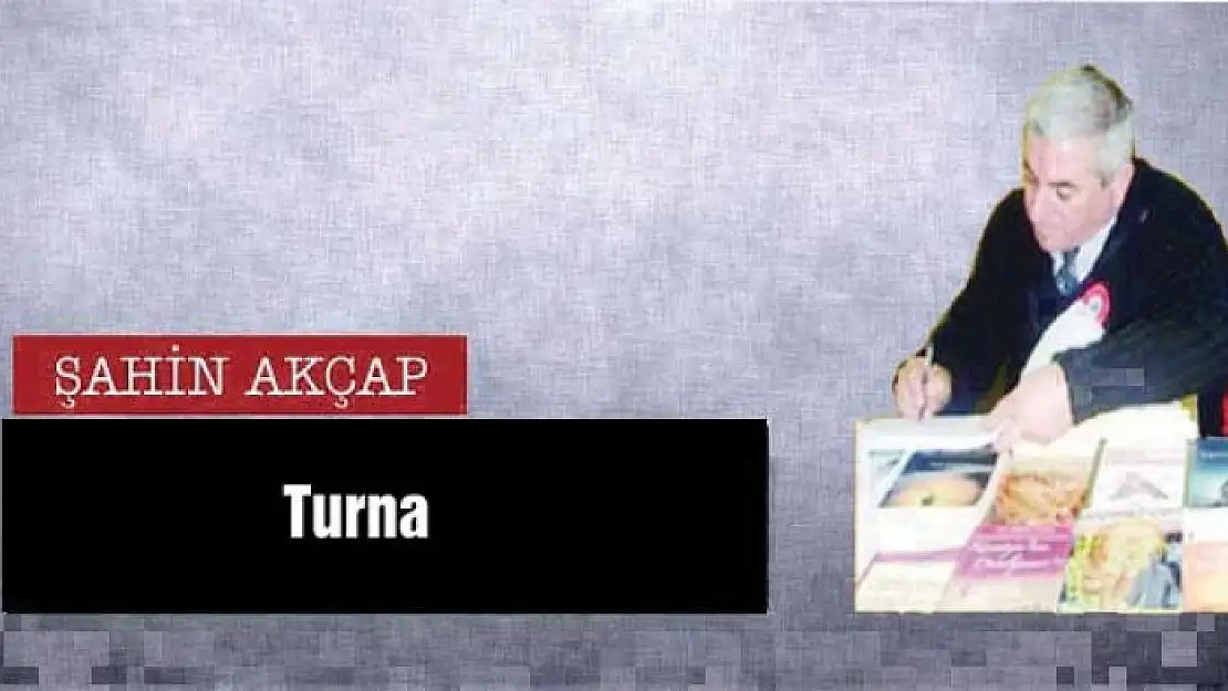 Turna