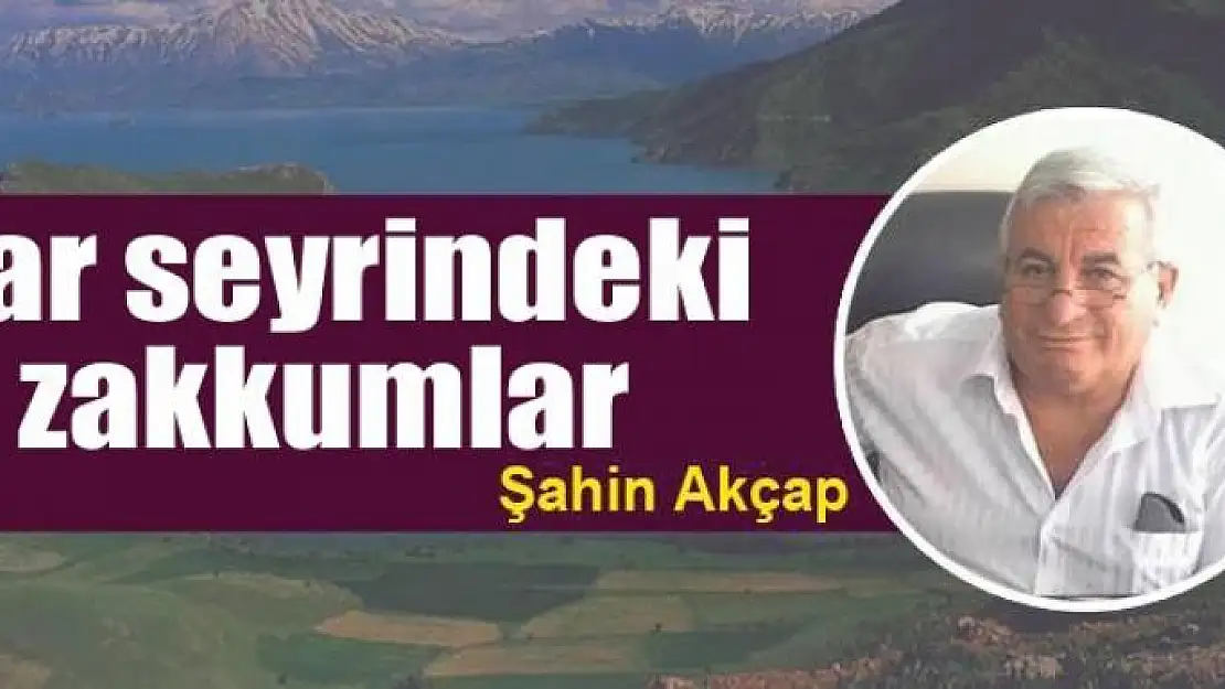 Kar seyrindeki zakkumlar 