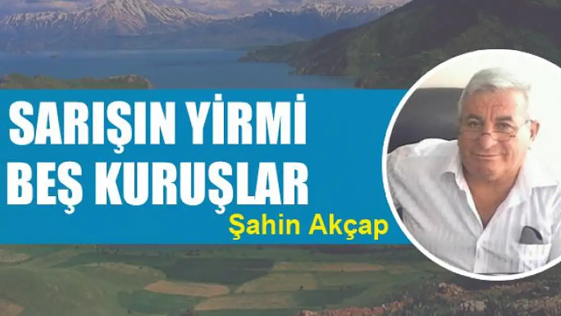 Sarışın yirmi beş kuruşlar