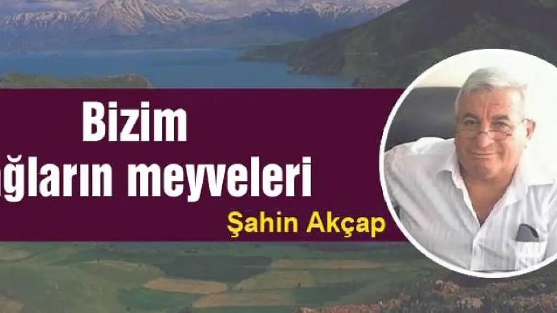 Bizim dağların meyveleri 